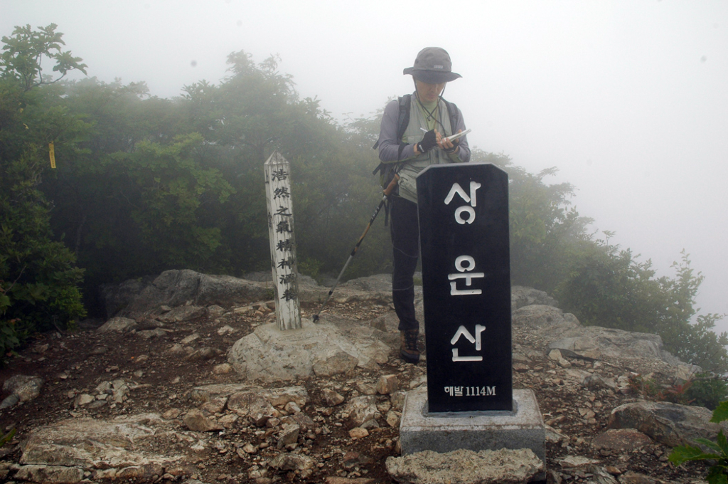 사용자 삽입 이미지