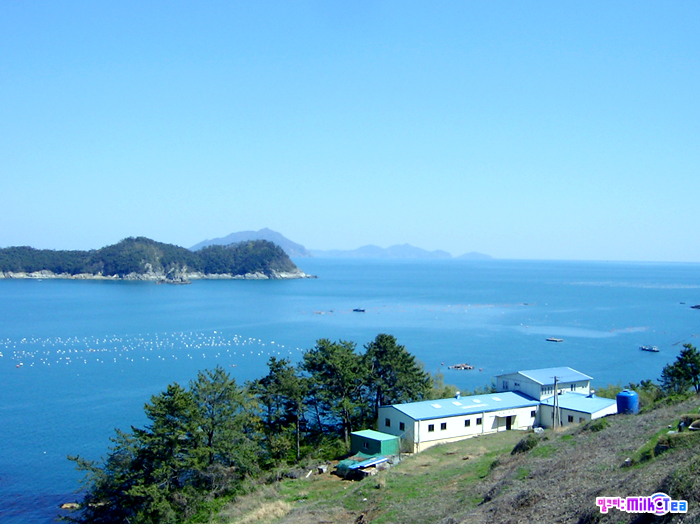 사용자 삽입 이미지