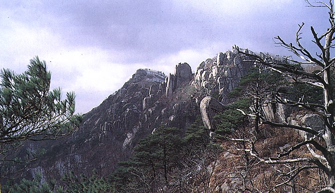 사용자 삽입 이미지