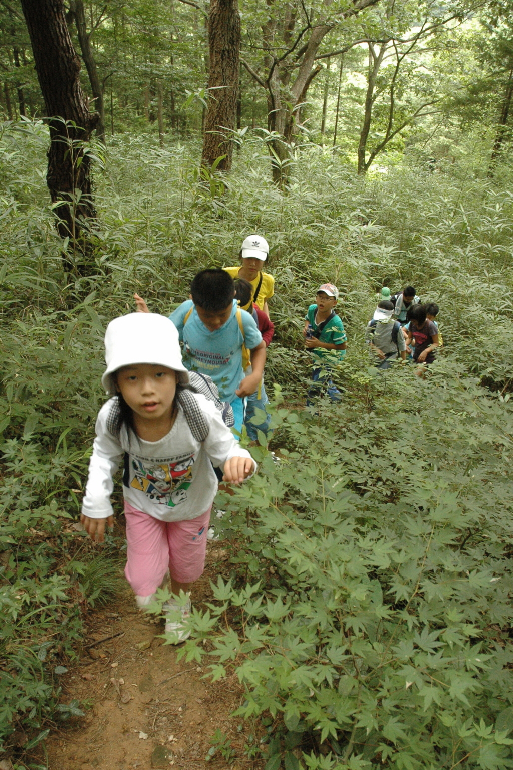 금산사 여름 어린이 캠프 산행