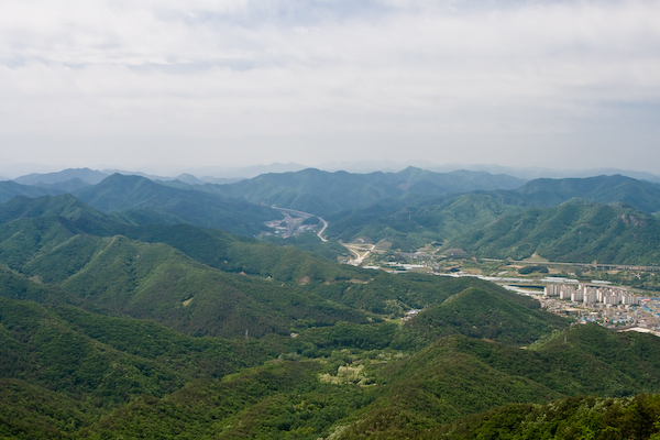 사용자 삽입 이미지