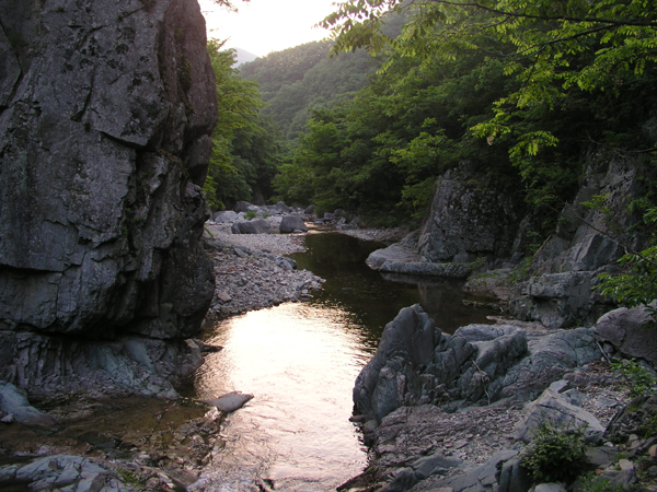 사용자 삽입 이미지