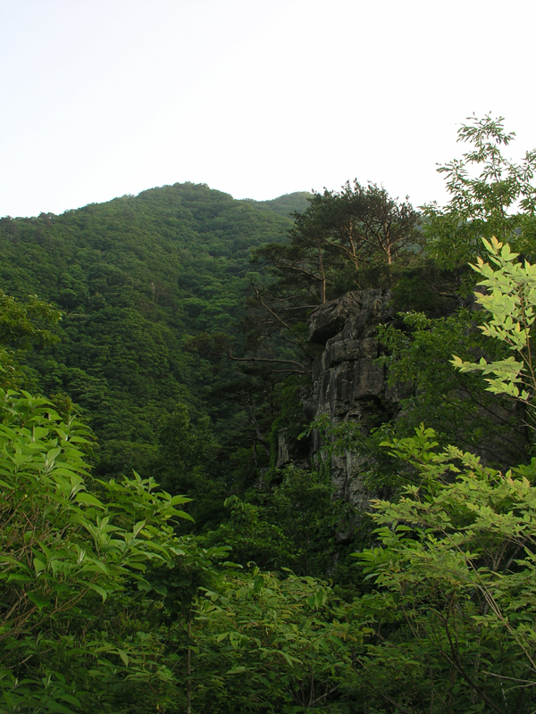 사용자 삽입 이미지