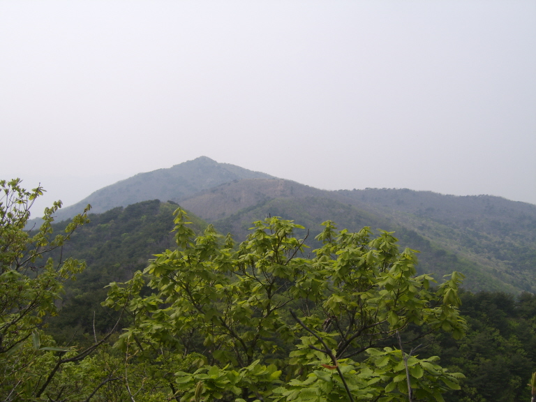 사용자 삽입 이미지