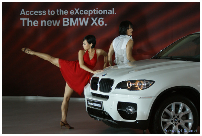 [신차/BMW X6] 신개념 스포츠액티비티차량(SAV) 'BMW  X6' 런칭