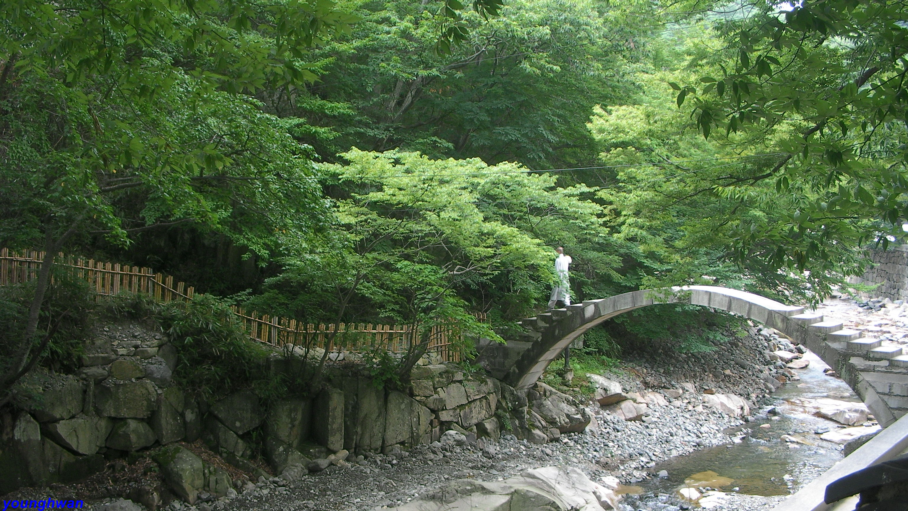 사용자 삽입 이미지