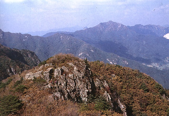 사용자 삽입 이미지