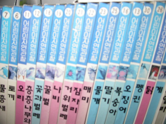 사용자 삽입 이미지