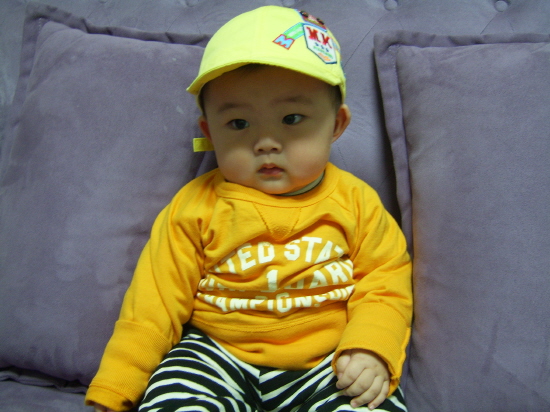 사용자 삽입 이미지