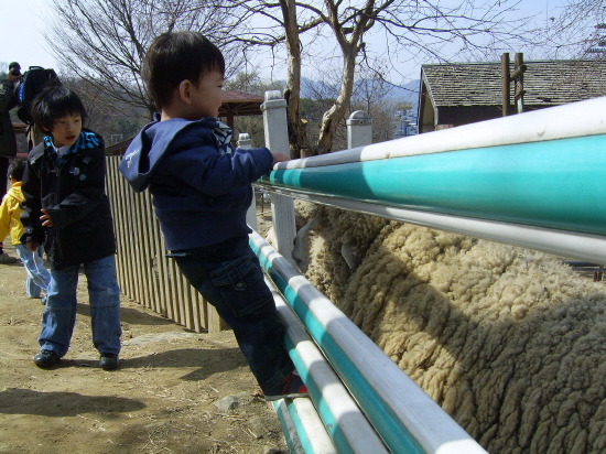 사용자 삽입 이미지