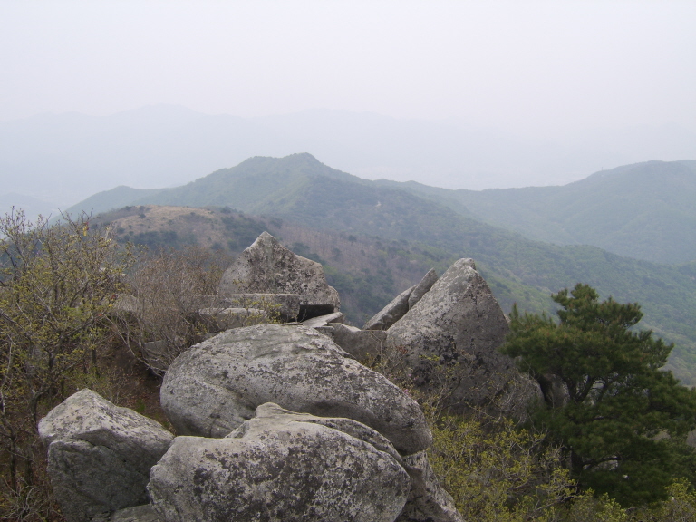 사용자 삽입 이미지