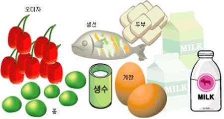 사용자 삽입 이미지