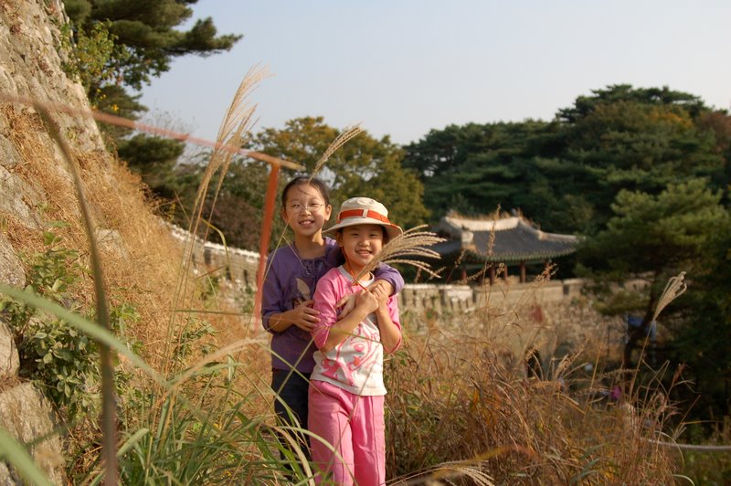 사용자 삽입 이미지