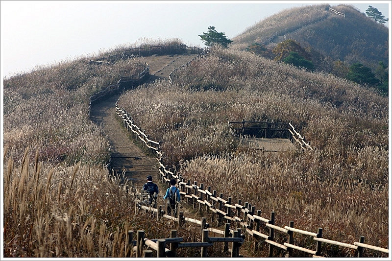 사용자 삽입 이미지