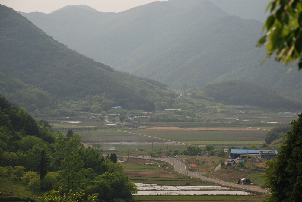 사용자 삽입 이미지