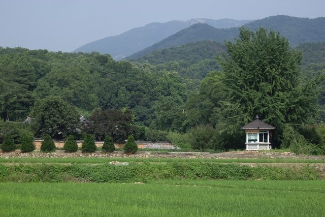 사용자 삽입 이미지