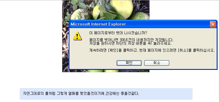 사용자 삽입 이미지