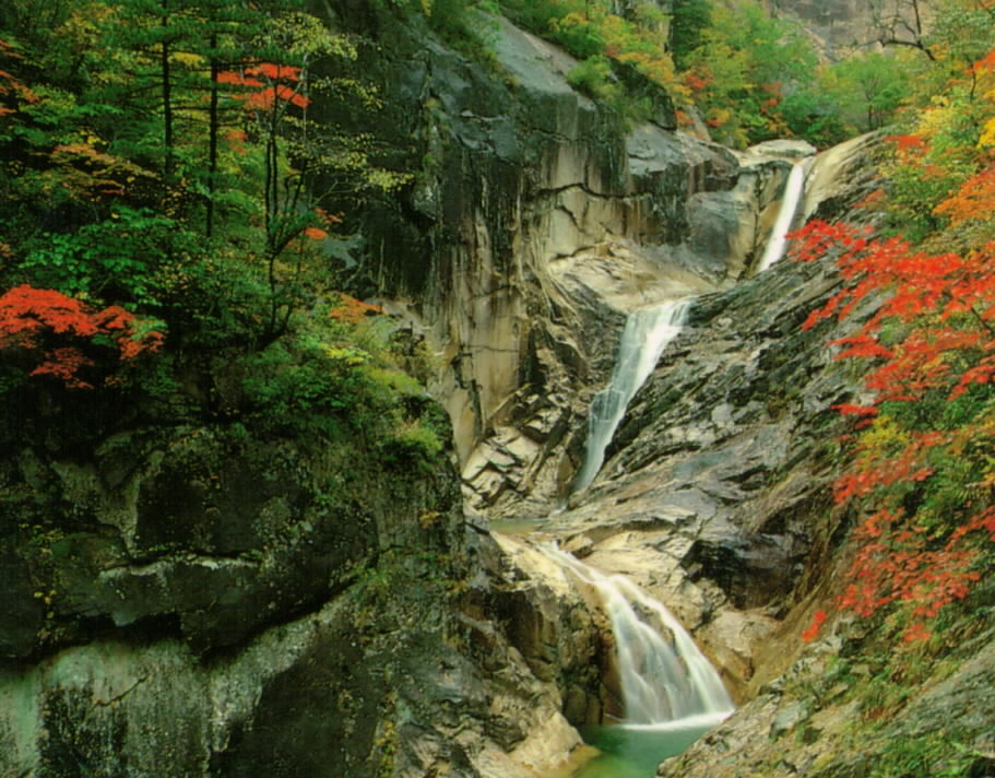 사용자 삽입 이미지