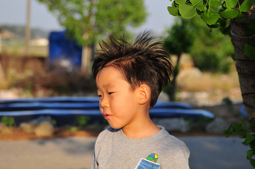 사용자 삽입 이미지