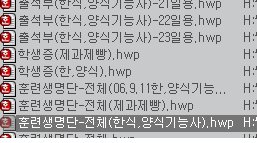 사용자 삽입 이미지