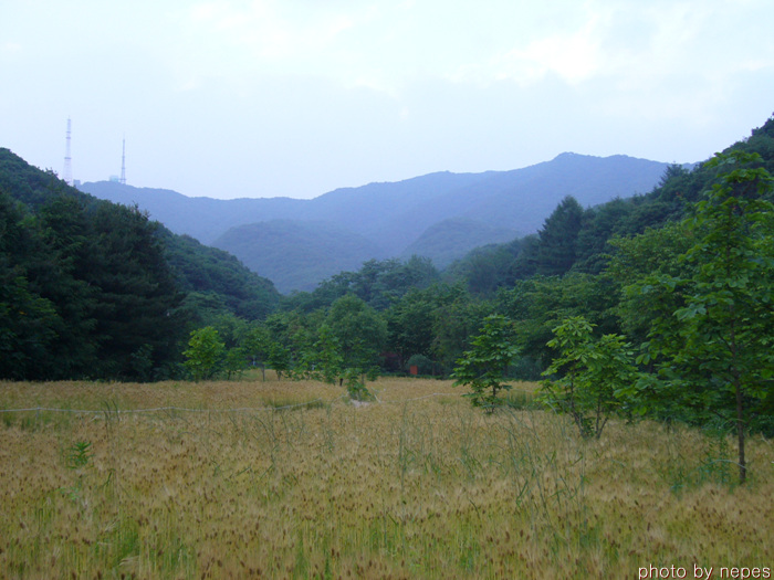 사용자 삽입 이미지