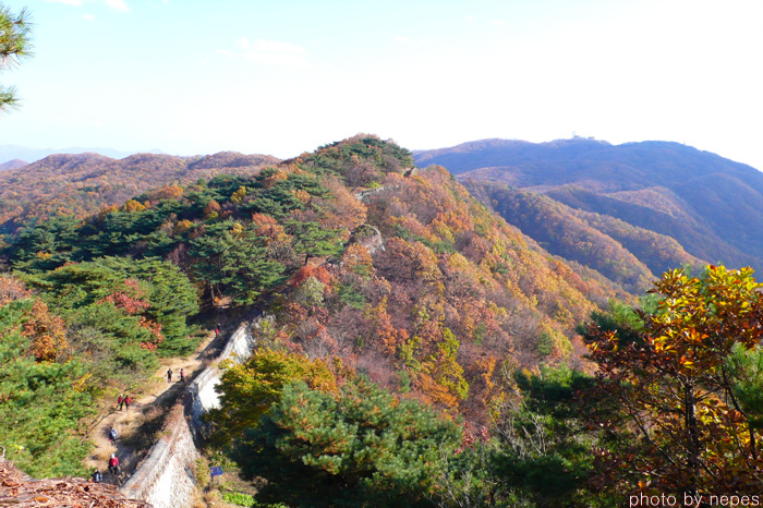 사용자 삽입 이미지