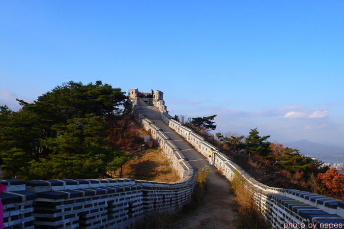 사용자 삽입 이미지