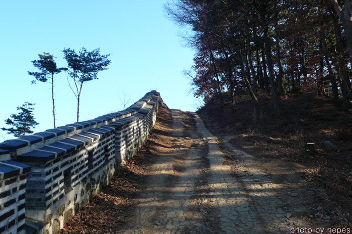 사용자 삽입 이미지