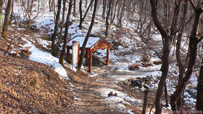 사용자 삽입 이미지