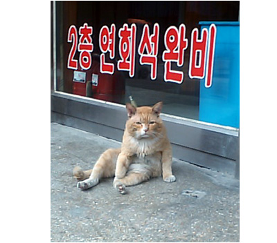 사용자 삽입 이미지