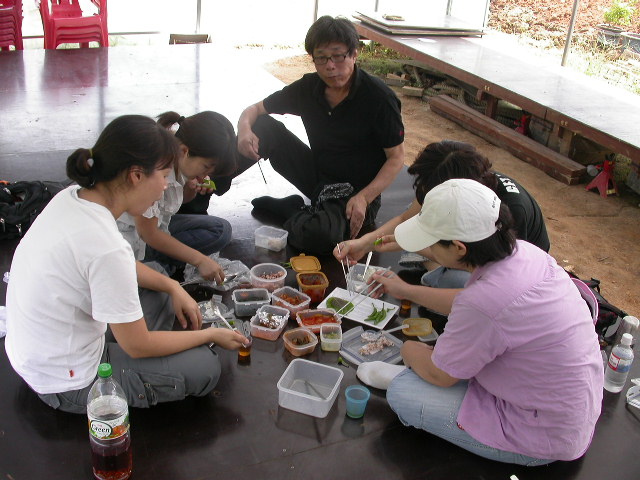 사용자 삽입 이미지