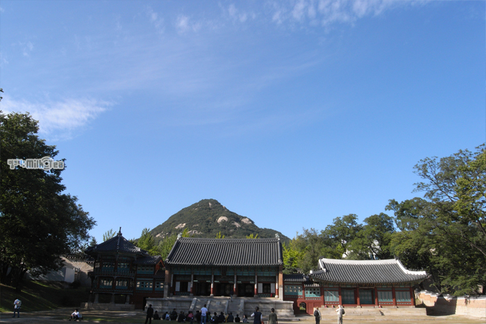 사용자 삽입 이미지