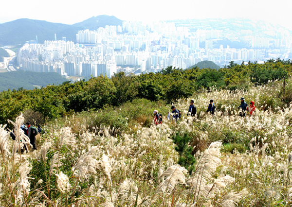 사용자 삽입 이미지