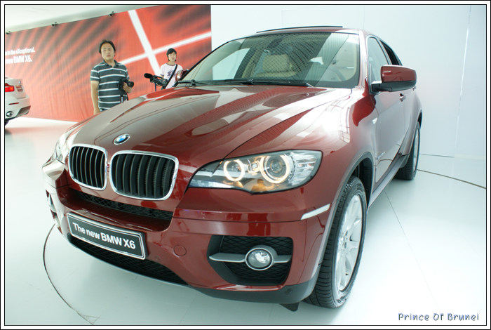 [신차/BMW X6] 신개념 스포츠액티비티차량(SAV) 'BMW  X6' 런칭