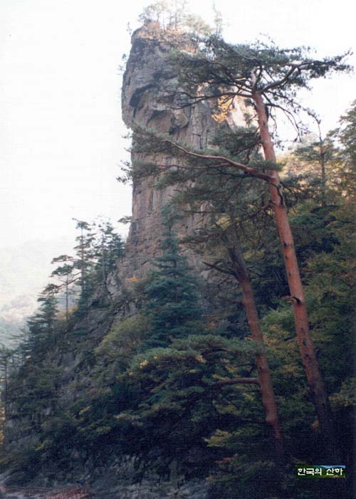 사용자 삽입 이미지