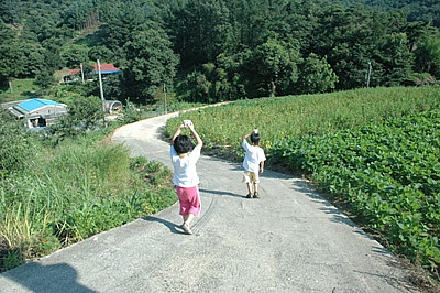 사용자 삽입 이미지