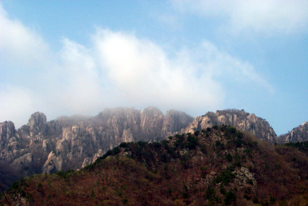 사용자 삽입 이미지