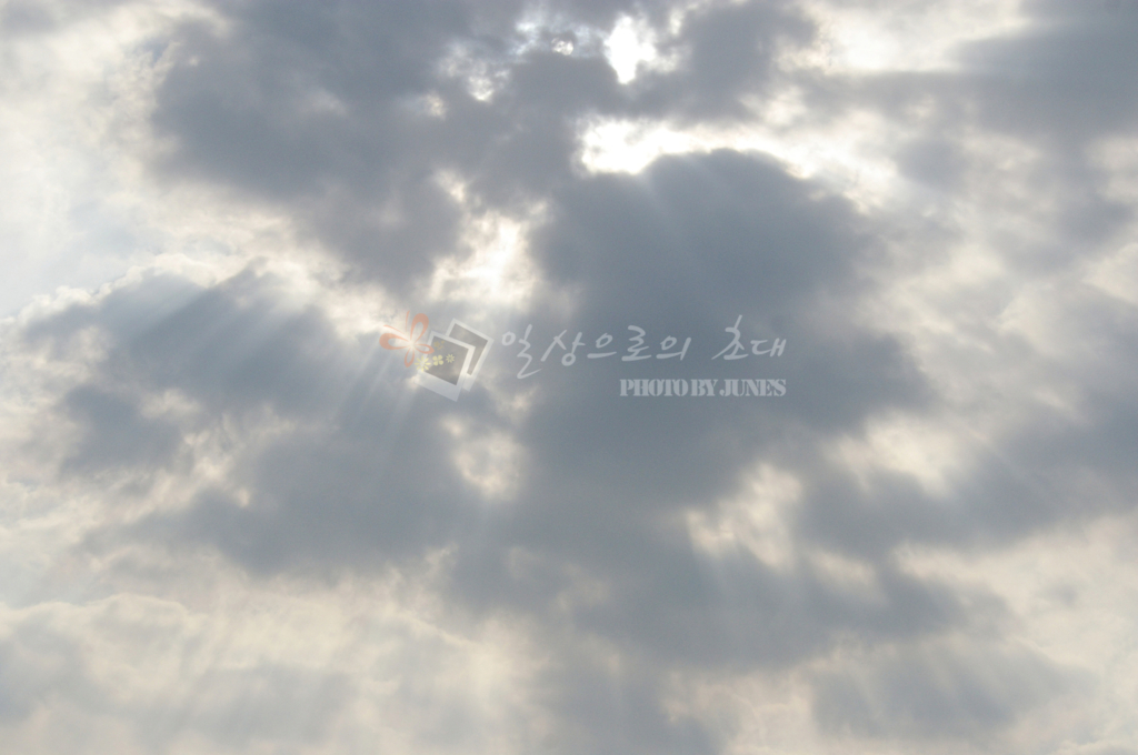 탄도항,전곡항,갯벌사진