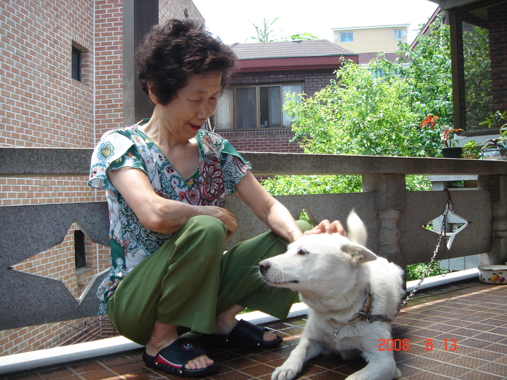 사용자 삽입 이미지
