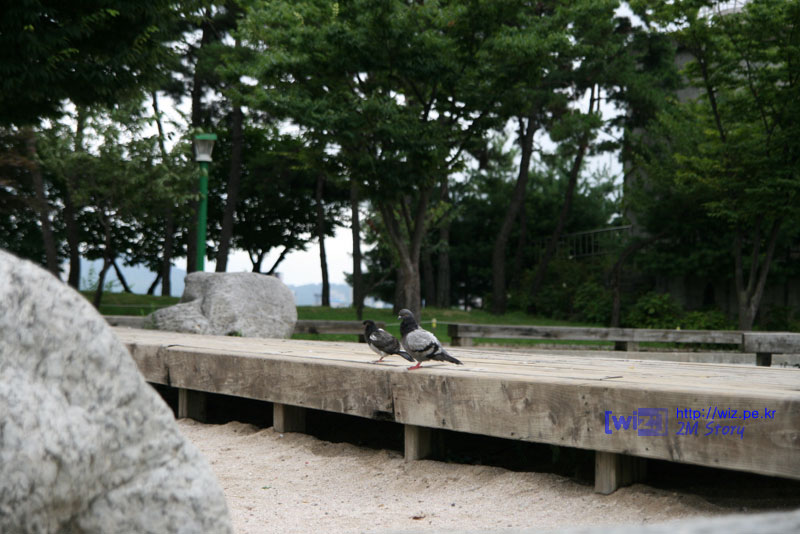 선유도 공원 사진