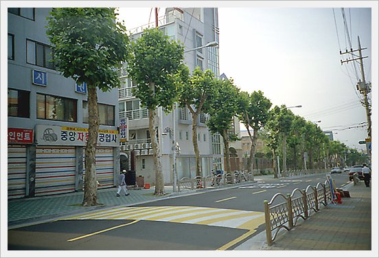 사용자 삽입 이미지