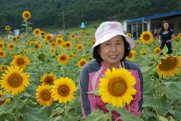 사용자 삽입 이미지