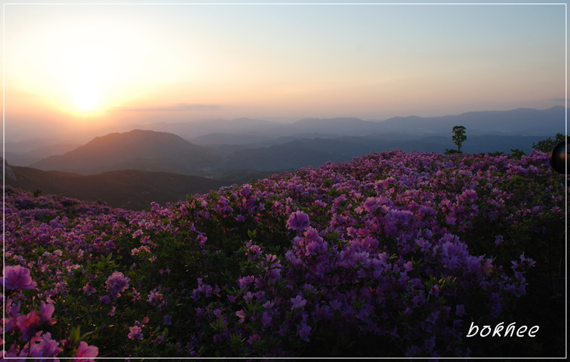 황매산