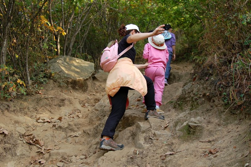 사용자 삽입 이미지
