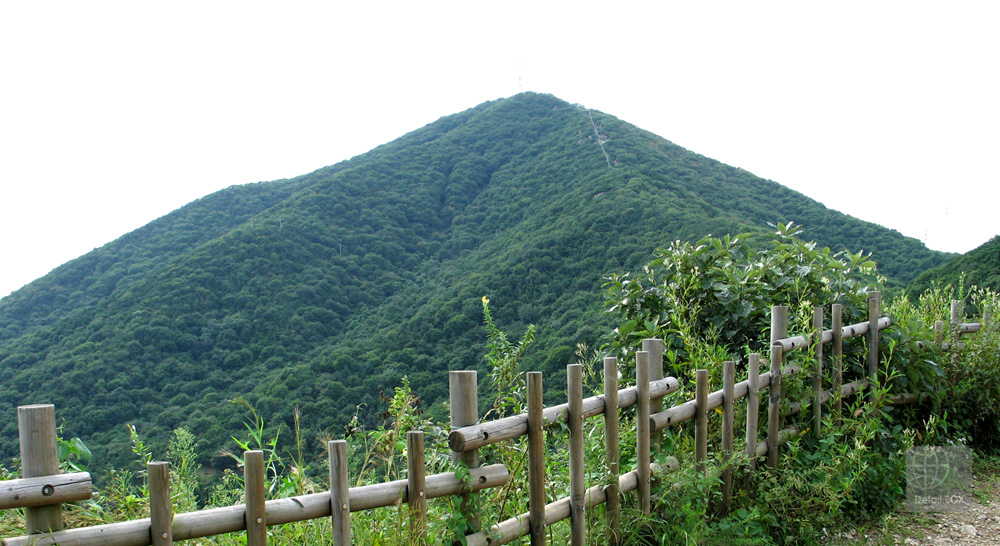 계양산 전경 사진