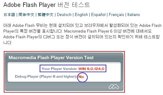 Flash Player version 확인