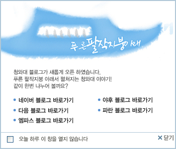 사용자 삽입 이미지