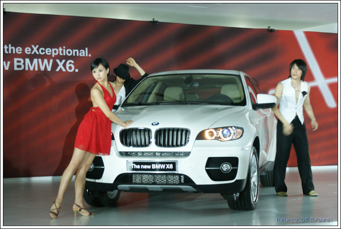 [신차/BMW X6] 신개념 스포츠액티비티차량(SAV) 'BMW  X6' 런칭