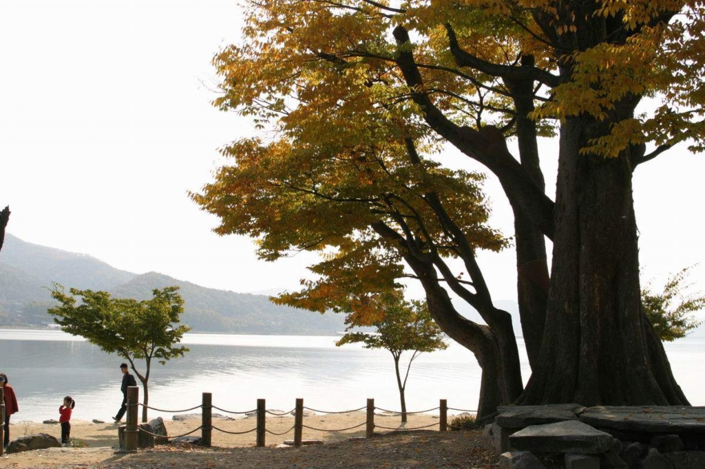 사용자 삽입 이미지