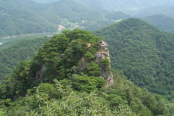 사용자 삽입 이미지